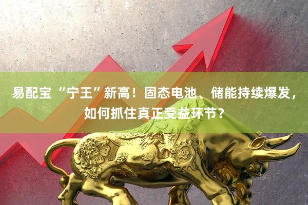 易配宝 “宁王”新高！固态电池、储能持续爆发，如何抓住真正受益环节？