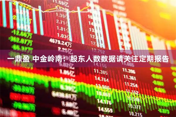 一鼎盈 中金岭南：股东人数数据请关注定期报告