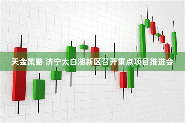 天金策略 济宁太白湖新区召开重点项目推进会